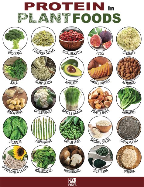 are plant foods low quality